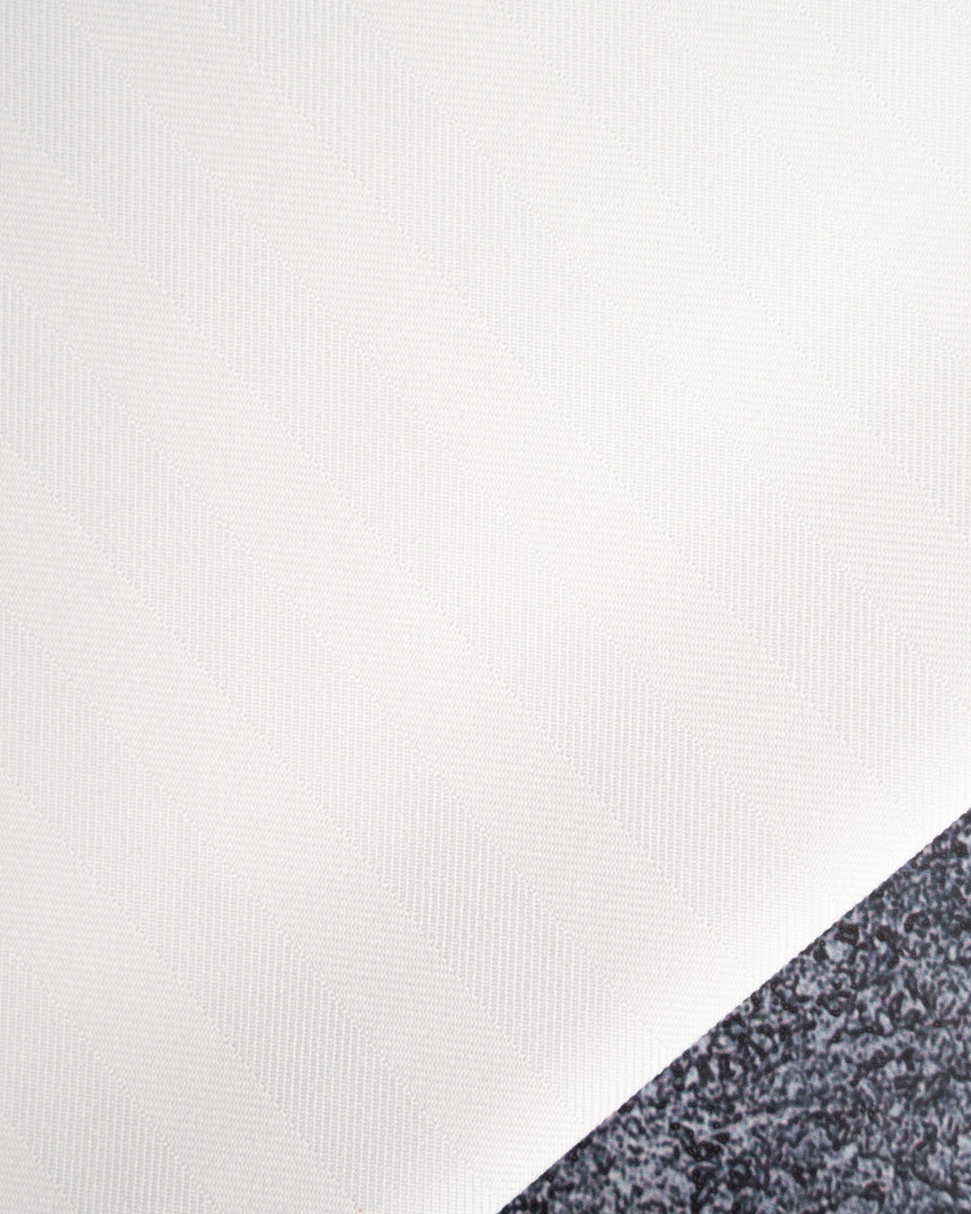 رمسيس نقشة D2